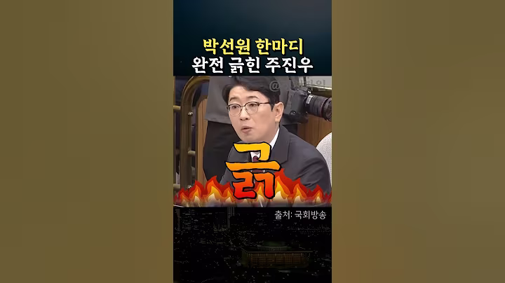 박선원 한마디에 완전긁힌 주진우 #정치 #김민석 #인사청문회