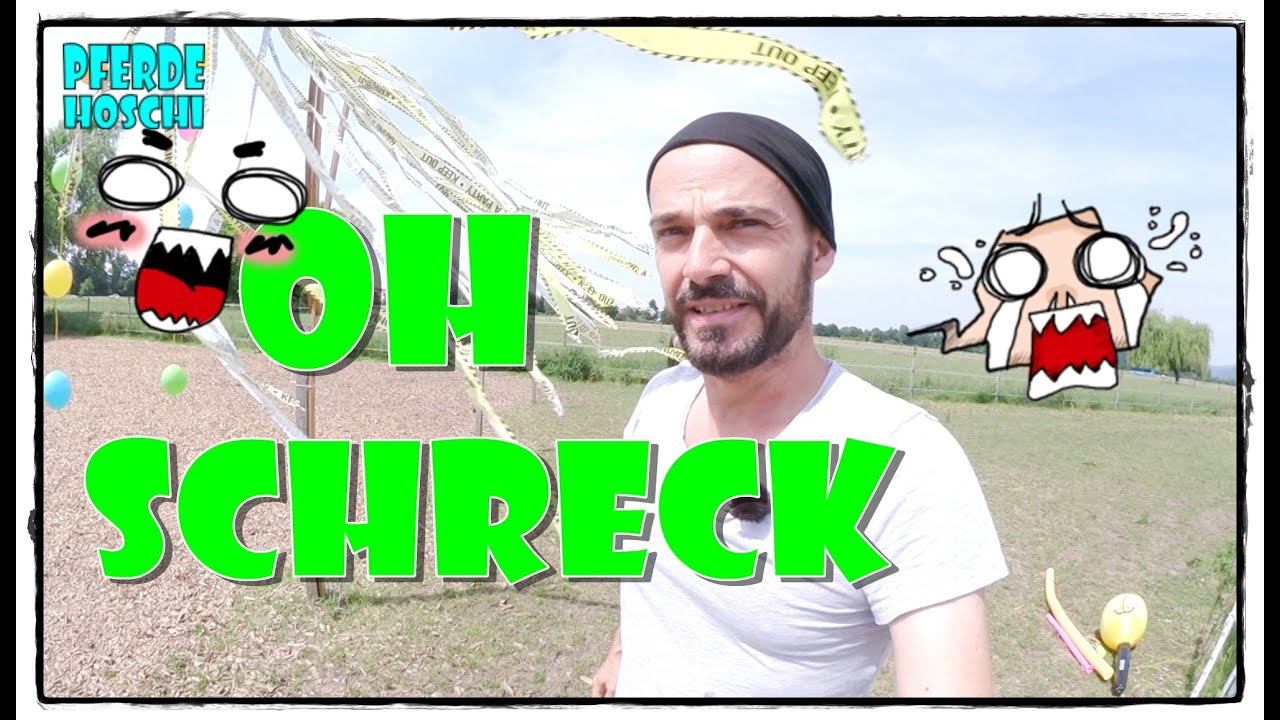 Pferde im Offenstall -Anti-Schreck Training | Pferde Hoschi