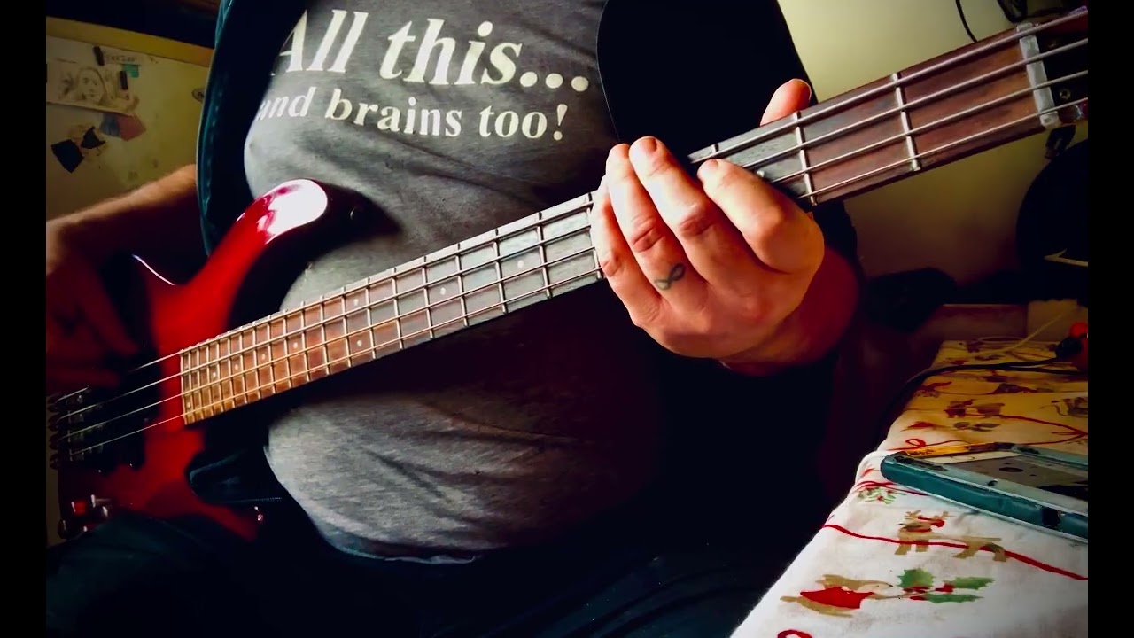 One take bass cover - Alannah Myles - Black Velvet