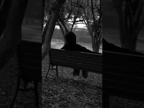  3  كامي غيمة