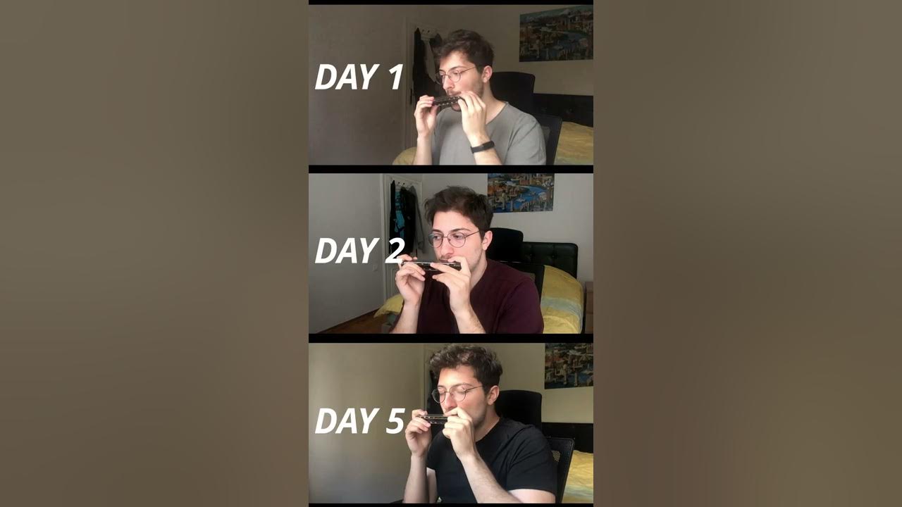 5 Days Harmonica Progress #shorts