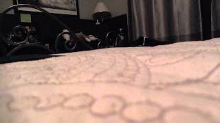 White Winter Hymnal (Female Cover)
