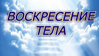 Воскресения тела. Открываем тайны Писания. Пастор Андрей Чумакин. Часть 4.