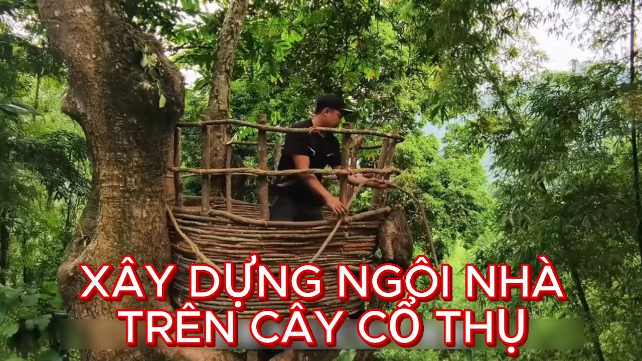 Chàng Trai Tài Năng Xây Dựng Cho Mình Một Ngôi Nhà Mơ Ước Trên Cây Cổ Thụ Cao 10m.[WILD SINH TỒN]
