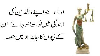 Yateem Grand children ka dada ki jaidad main hisa