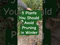 Some plants can be pruned now, but be sure to keep those gardening snips away from these!