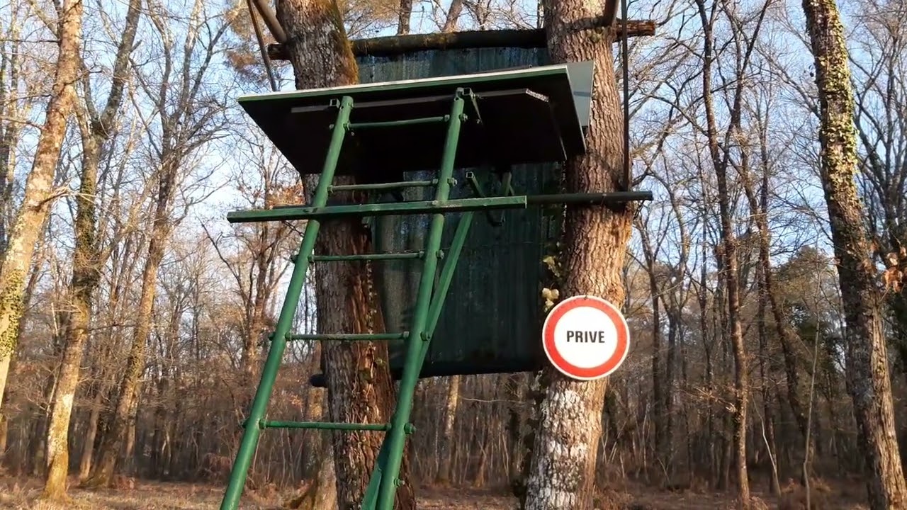 palombe.org - Astuces de fabrication d'une échelle de mirador