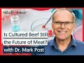 Back to the Future - The Origins of Lab-Grown Meat - Dr. Mark Post [2012] | Intelligence Squared