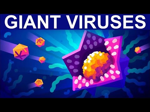 Video: Viruses Have Learned To Control The Metabolism Of Their Victims - Alternative View