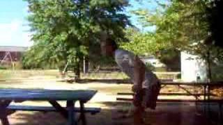 picnic table jump
