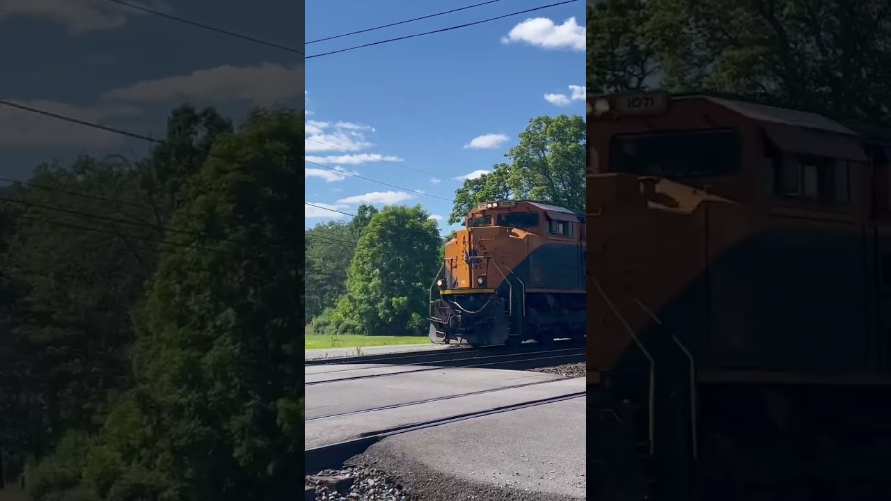 NS 1071 leads 29G WB (Shortened)