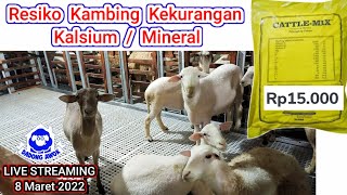 Benefits of Minerals for Goats