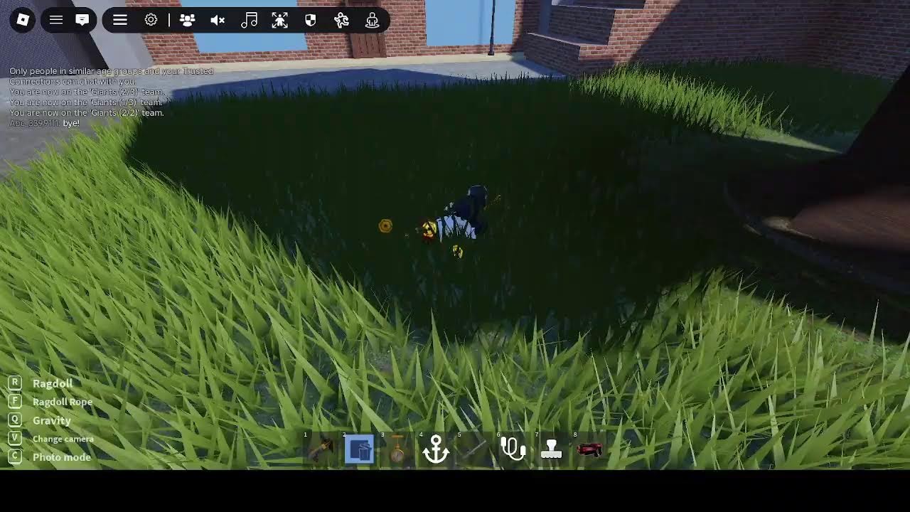 Ragdoll Engine Live Stream