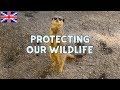 Conservation and Environmental Awareness Quiz