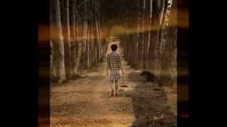 Fratii Wagner ~ Adeseori cararea mea