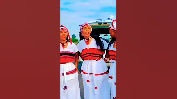 Tadele Gemechu Oromo Music Oromo TikTok Video 