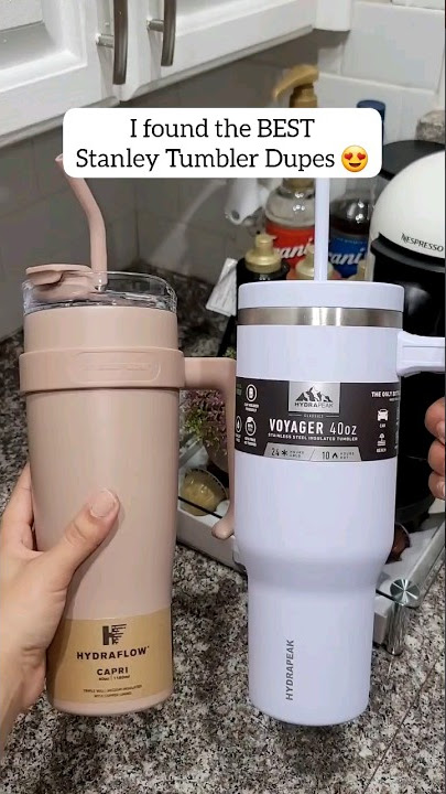 Aldi Is Releasing the Ultimate Stanley Tumbler Dupe—and It's Only $10