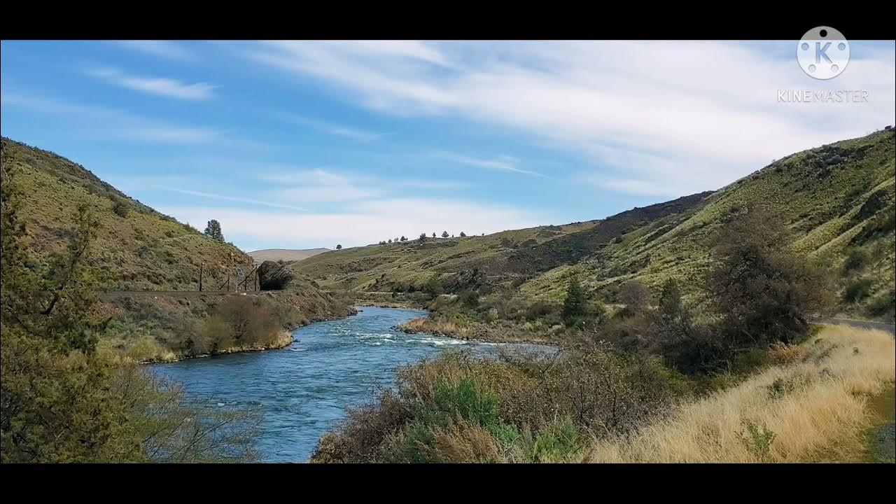 Deschutes River Fly Fishing Maupin , Central Oregon Trout Spey YouTube