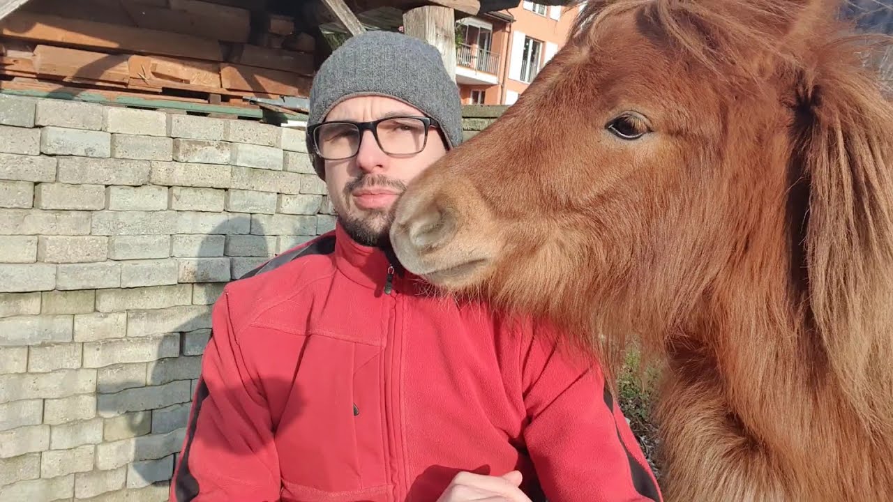 Explication rapide de la p-value : en coupant du bois et en l'expliquant à un poney