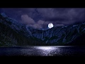 Edius 7 | Edius 8 | Edius 9 | Video Background 041