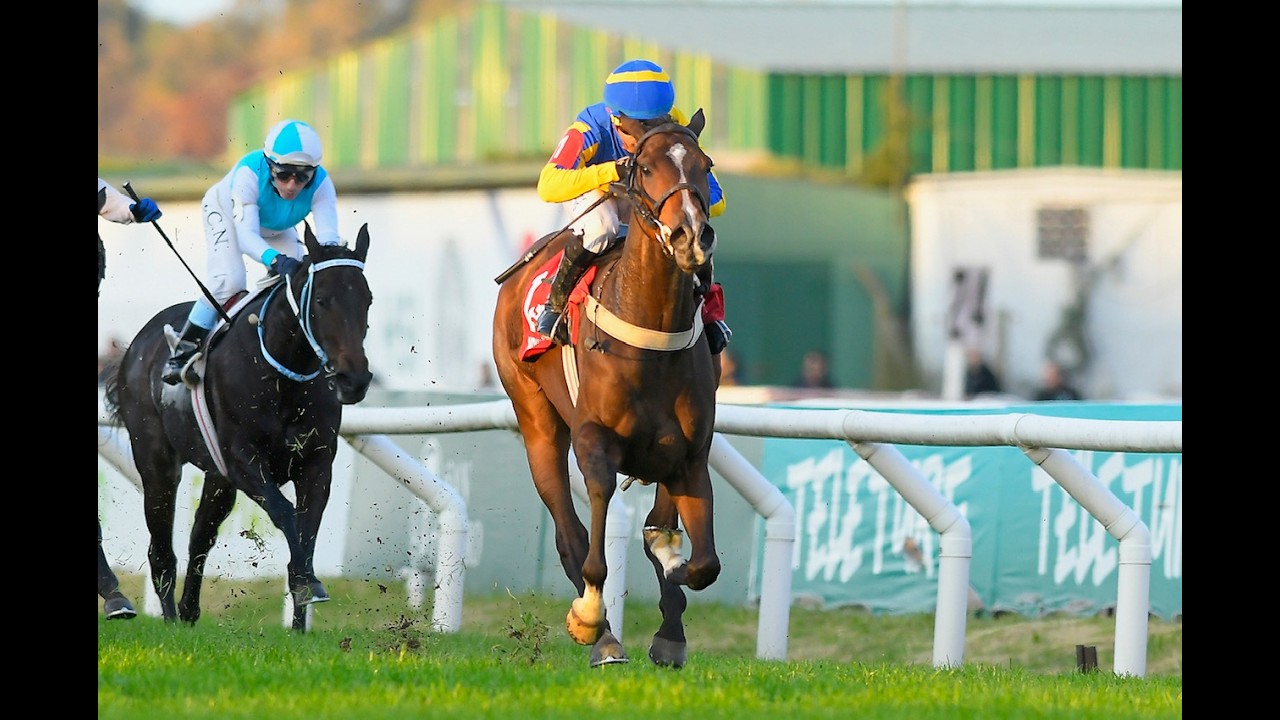 Gran Premio Copa Diamante (G1) 2026 - Indiana Candy (Señor Candy)