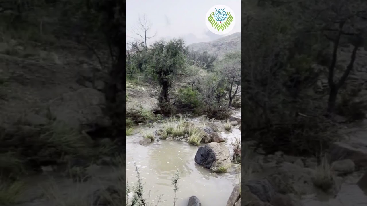 أمطار عنام - باشوت ( قرن بن ساهر ) ٩ / ١٠ / ١٤٤٤ هـ قناة قبيلة #شمران_قرن_بن_ساهر