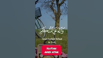 سورة لقمان الاية 17 بصوت اسلام صبحي 🌹💟