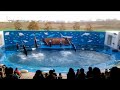 2018/2/28 仙台うみの杜水族館 イルカのパフォーマンス