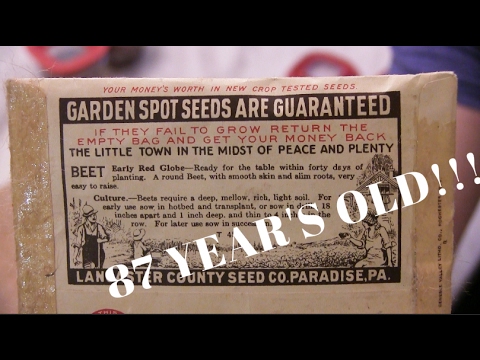 Video: Ancient Heirloom Seeds: Ancient Seeds Germinated Today