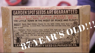 SPROUTING 87 YEAR OLD VEGETABLE SEEDS  Resurrecting Lost Genetics