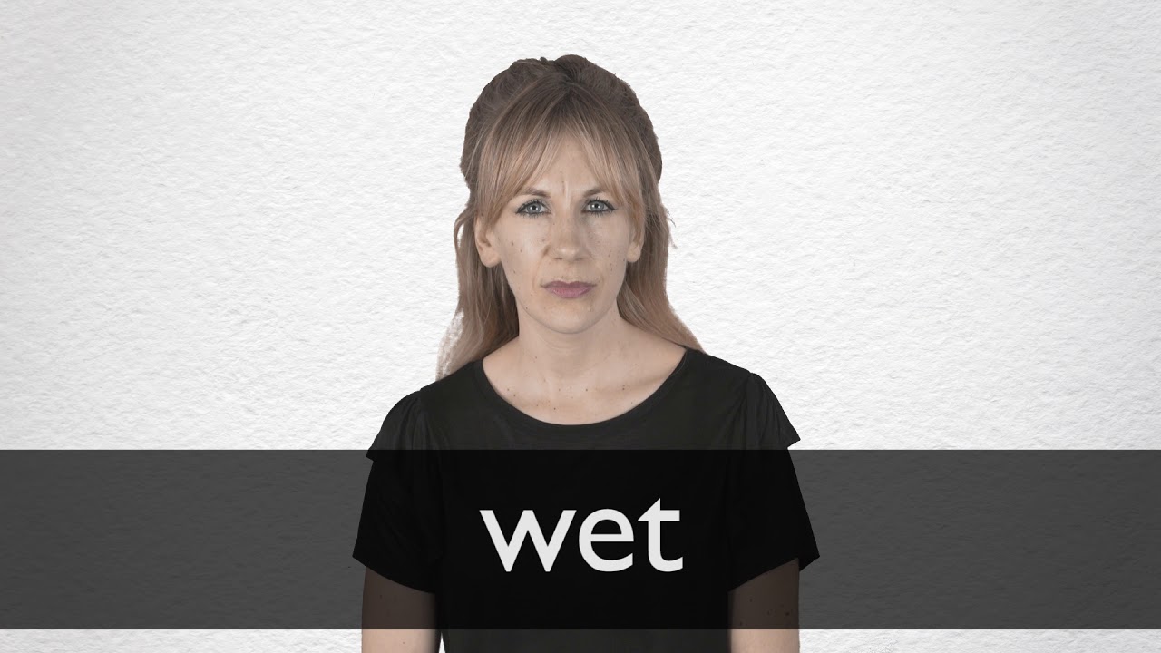 Wet Definition And Meaning Collins English Dictionary
