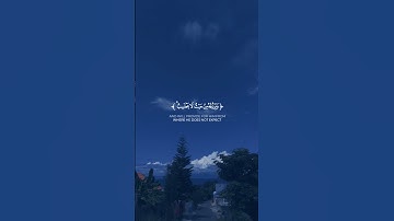 وَمَنْ يَتَّقِ اللَّهَ يَجْعَلْ لَهُ مَخْرَجًا..بصوت القارئ شريف مصطفى، #quran #qurankareem #قرآن