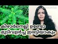 💯 മൂന്നിരട്ടി മുടിക്ക് കീഴാർനെല്ലി l Keezharnelli for Faster Hair Growth l Keelanelli for Hair Loss