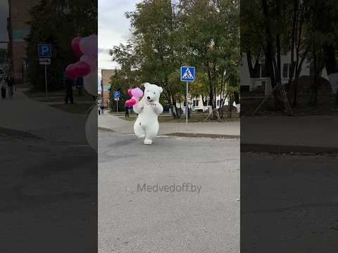 Медведь рискуя жизнью перебегал дорогу, чтобы поздравить любимую девушку с Днем Рождения. ❤️
