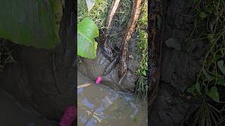 Eel Fishing Technique