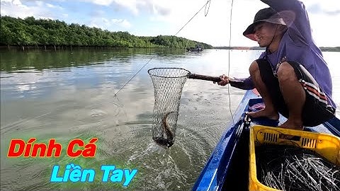 Một Ngày Tuyệt Vời Giăng Câu Dính Cá Liên Tục | Gia Đình Cần Giờ .238 |