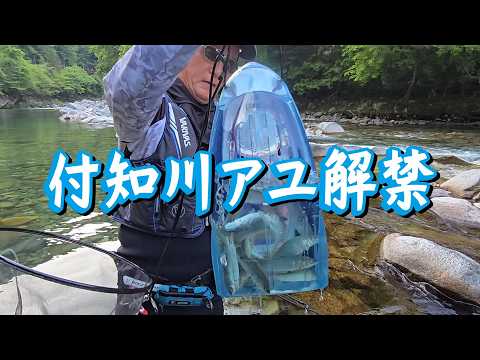 ボッコボコの後で…【昼からの付知川アユ解禁釣行】タックルインジャパン撮影兼ねての初釣りを楽しみました♪