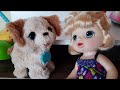 Furreal Afacan Köpekçik Baby Alive&#39;ın Peşinde !! | Funny Kids Video