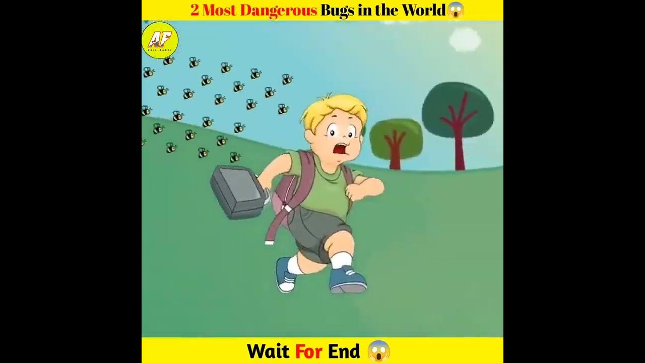 2 Most Dangerous Bugs In The World short shorts YouTube 2-most-dangerous-bugs-in-the-world-short-shorts-youtube