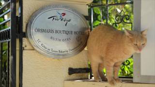 Orsmaris Boutique Hotel Marmaris - TURKEY