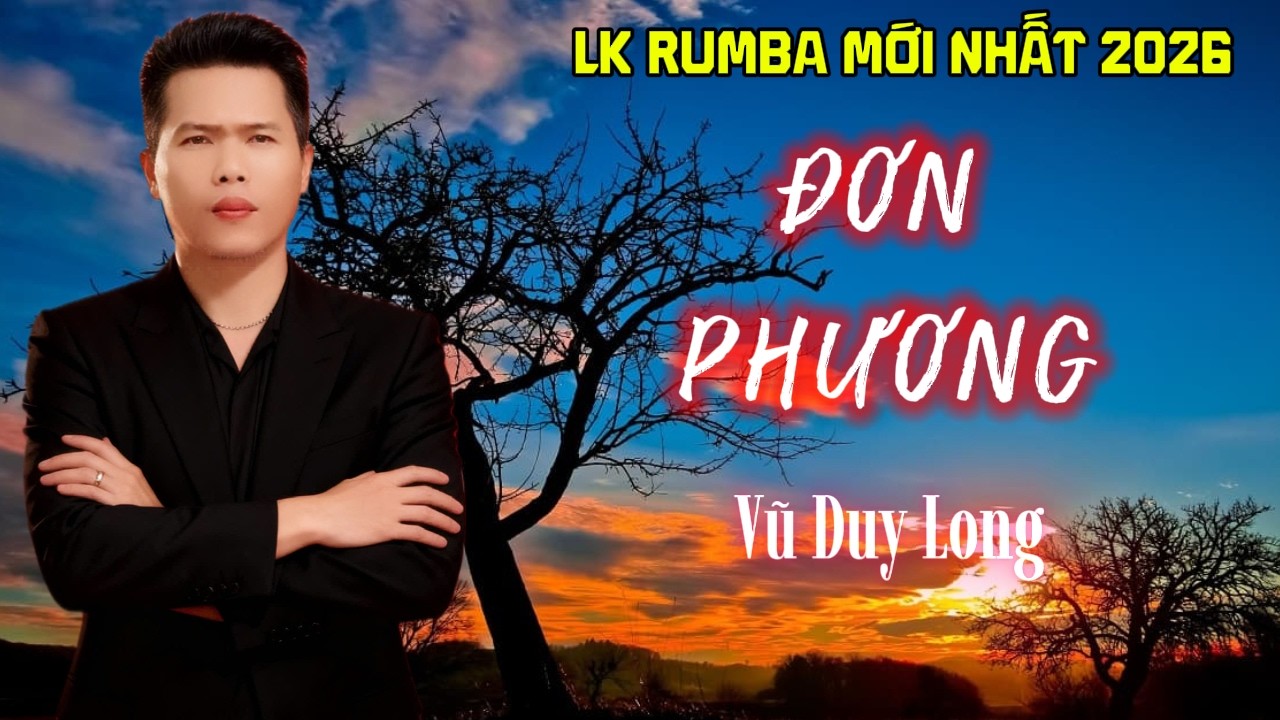 LK Đơn Phương | Vũ Duy Long ( nhạc thất tình )