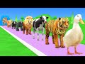 Paint Animals Duck,Tiger,Cow,Lion,Buffalo,Gorilla,Elephant,Dinosaur Fountain Crossing Animal Game Ne