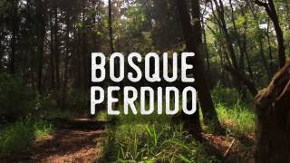 Video thumbnail of "Bosque Perdido-Náufrago (Video Oficial)"