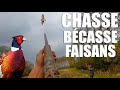 Chasser Cuisiner et Manger la BÉCASSE !