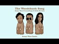 Sonny wern aronchupa little sis nora  the woodchuck song sonny wern remix