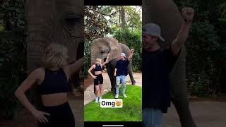 DANCING IN FRONT OF HUGE ELEPHANT🐘 #shorts