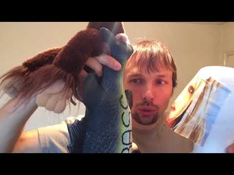 Why did I steal your girlfriend and Q&A