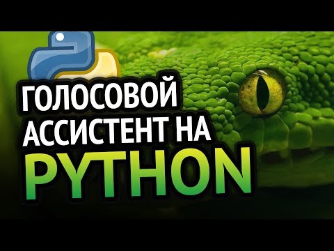 Голосовой ассистент на 🐍 Python | Урок как сделать?