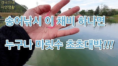 송어 물 낚시 이 채비 꼭 챙겨가세요~남녀노소 마릿수 손맛 징하게 볼수있어요^^낚시터 송어낚시 (가평낚시터)