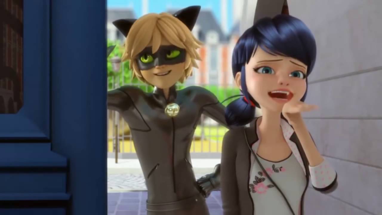 Cat Noir Cat Noir